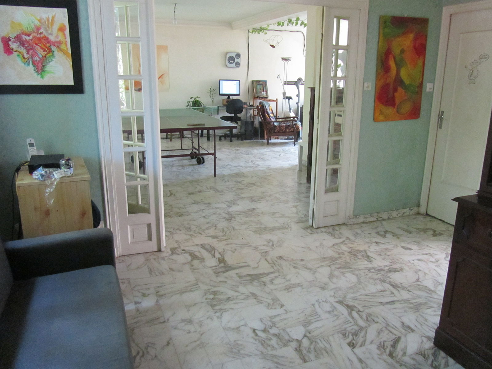 Kolokasie Oullins 145927