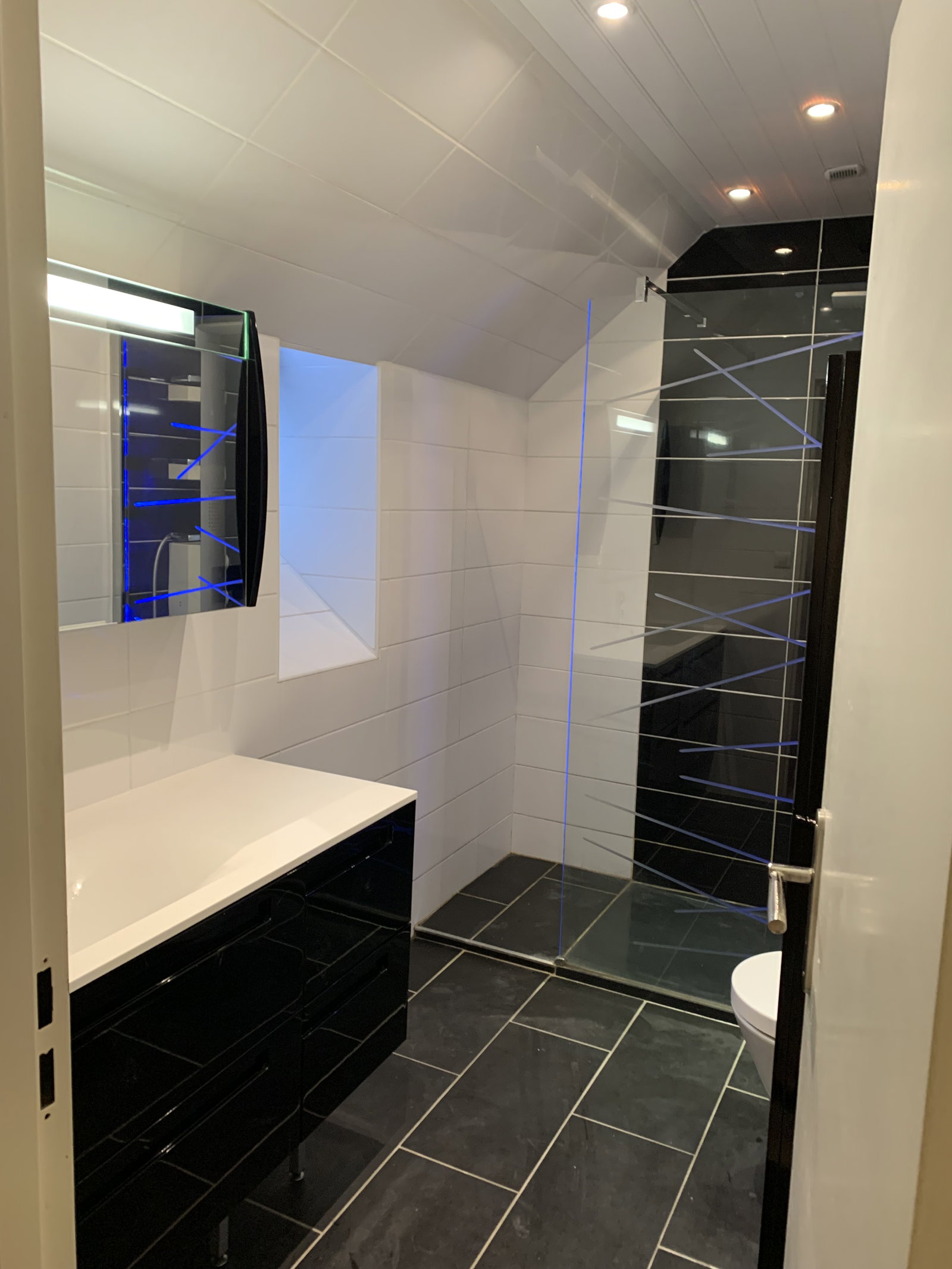 Kolokasie Blois 517470