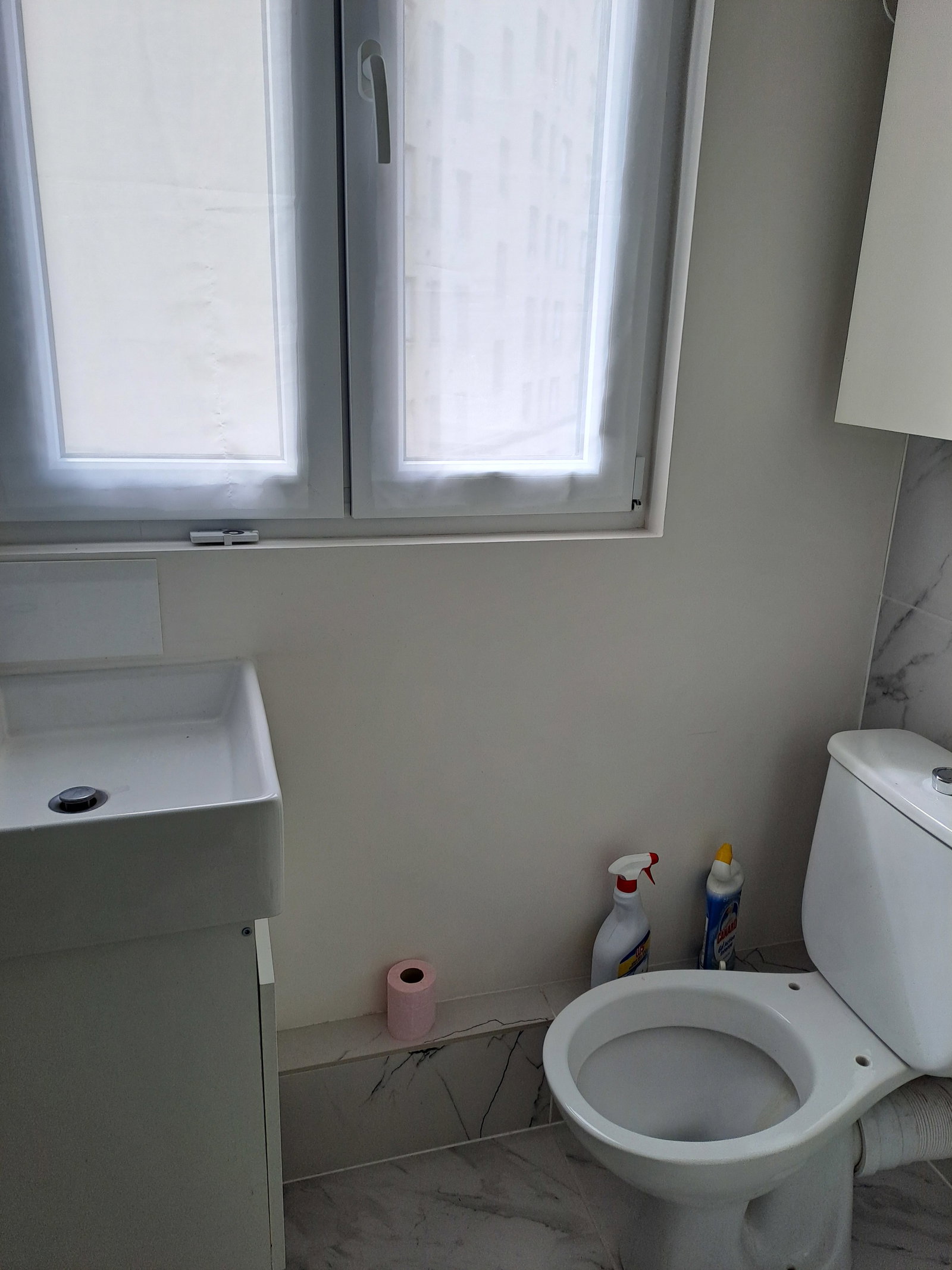 Kolokasie Vanves 661840