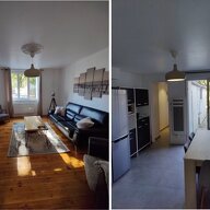 Kolokasie Niort 485987