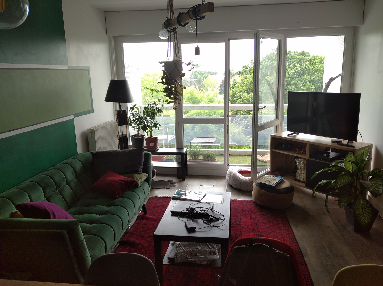 Kolokasie Les Ulis 249733