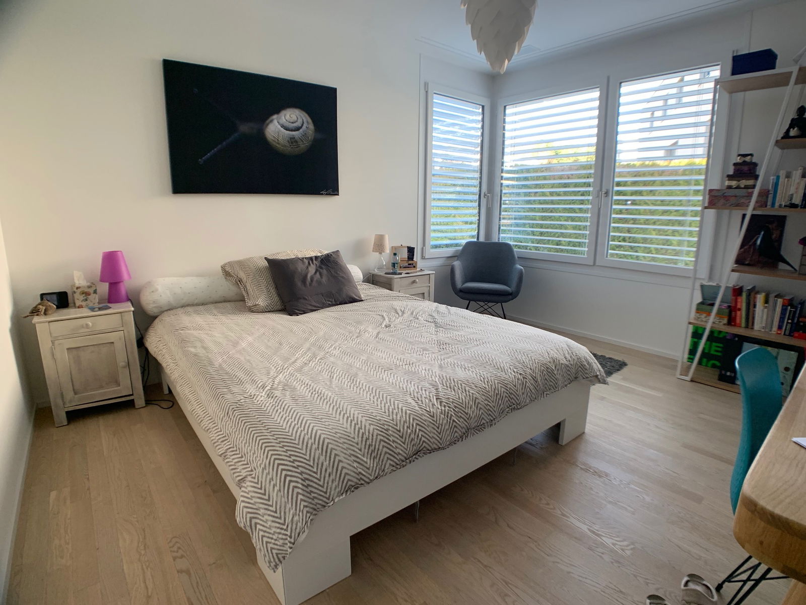 Kolokasie Saint-Sulpice 235768