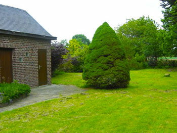 Kolokasie Meysse 63043