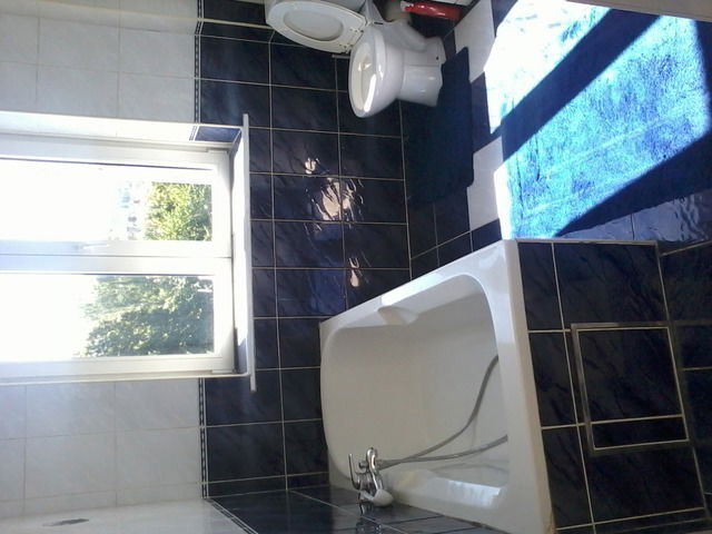 Kolokasie Bruxelles 32639