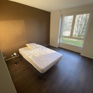 Kolokasie Rennes 516683