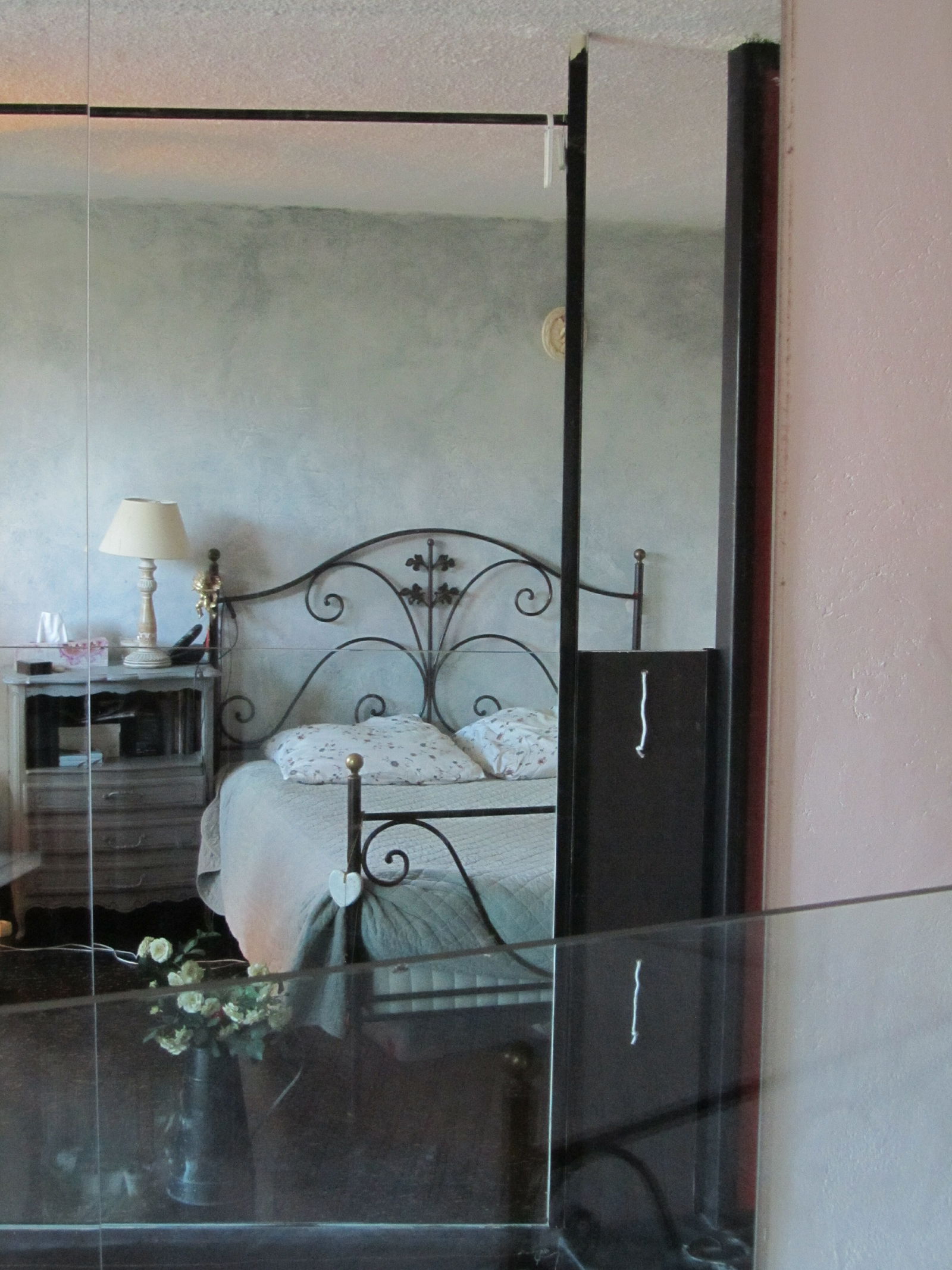 Kolokasie Rezé 137835