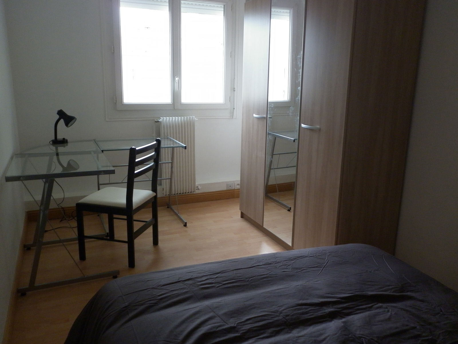 Kolokasie Saint-Brieuc 99460