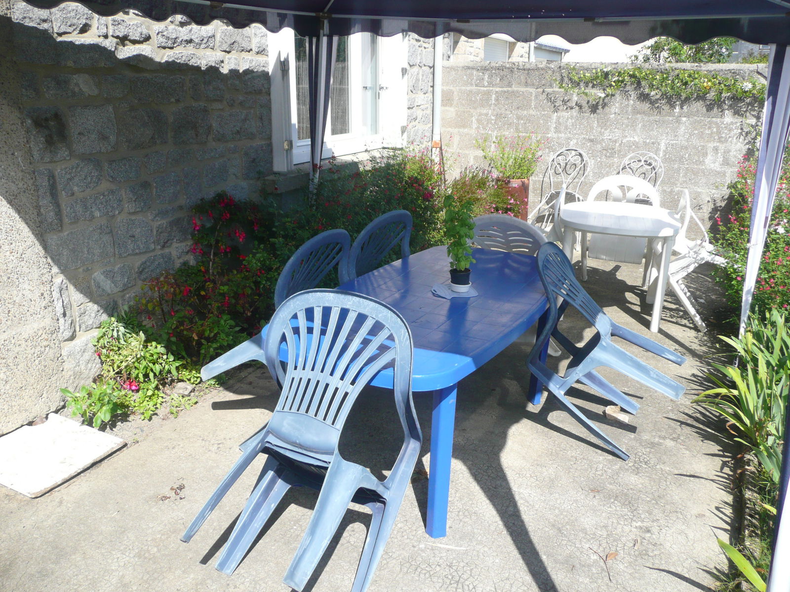 Kolokasie Saint-Malo 102237