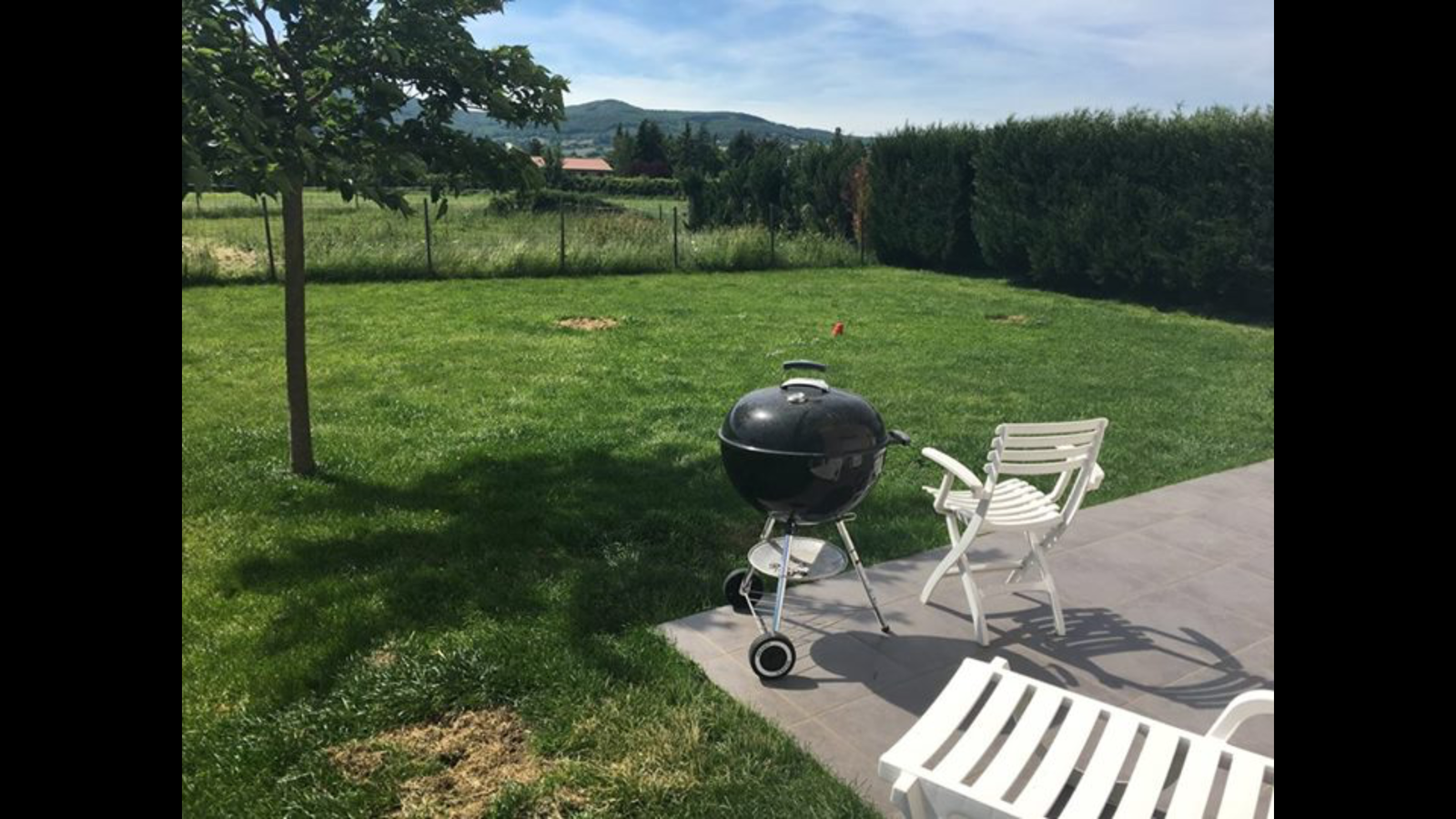 Kolokasie Sainte-Consorce 171738