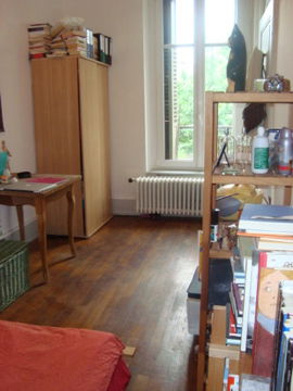 Kolokasie Strasbourg 134970