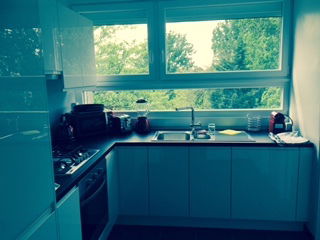 Kolokasie Tourcoing 135532