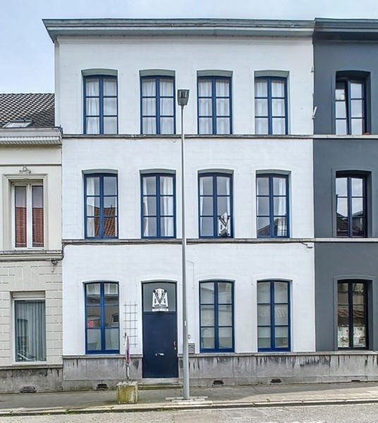 Kolokasie Tournai 437894