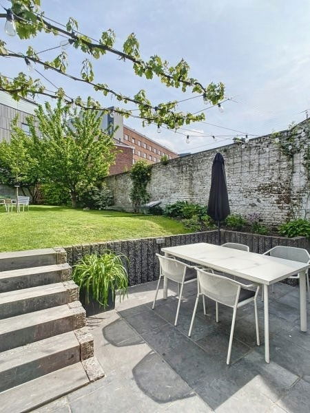Kolokasie Tournai 437894