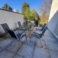 Kolokasie Lille 653915