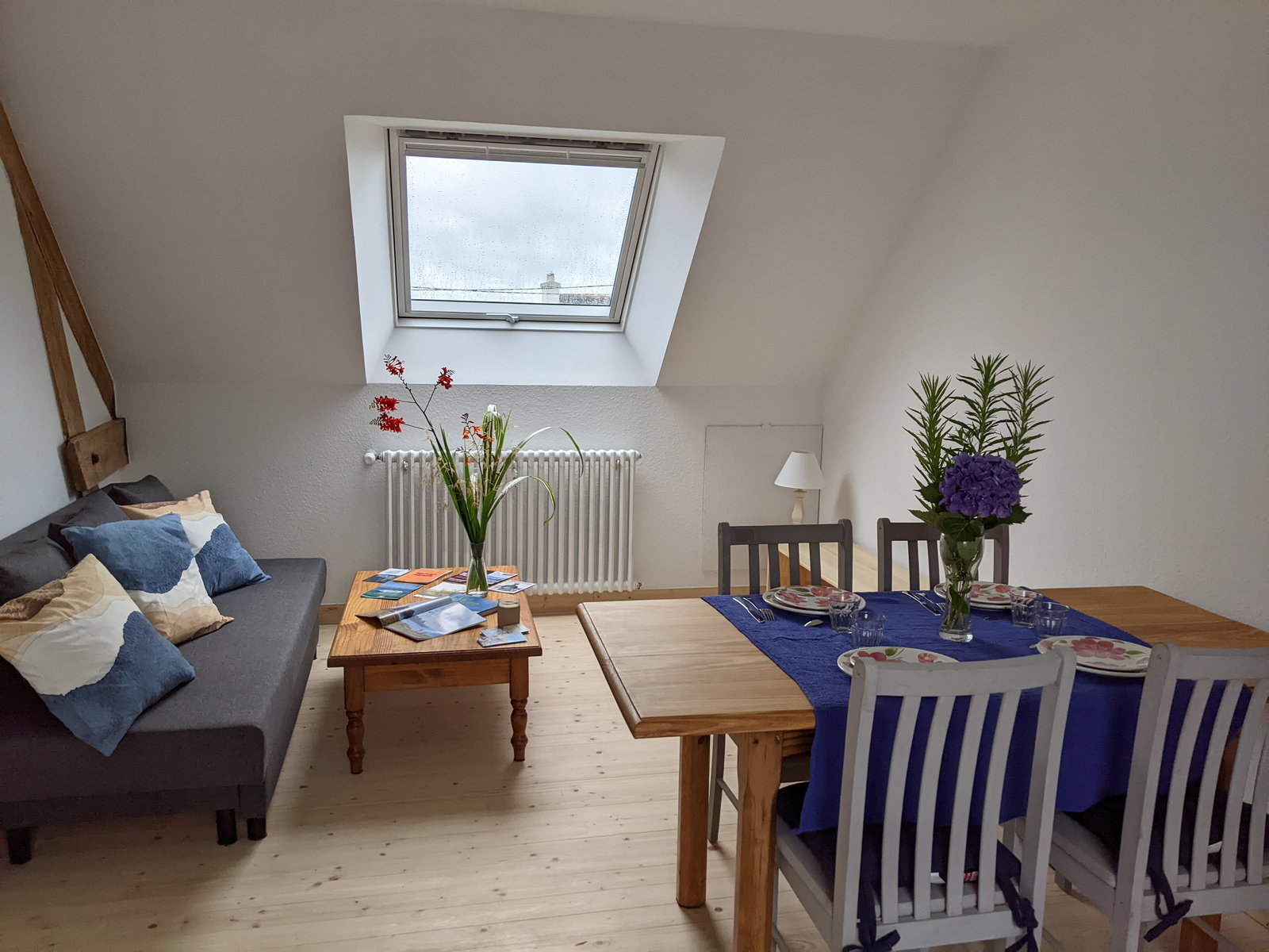 Kolokasie Quimper 268079