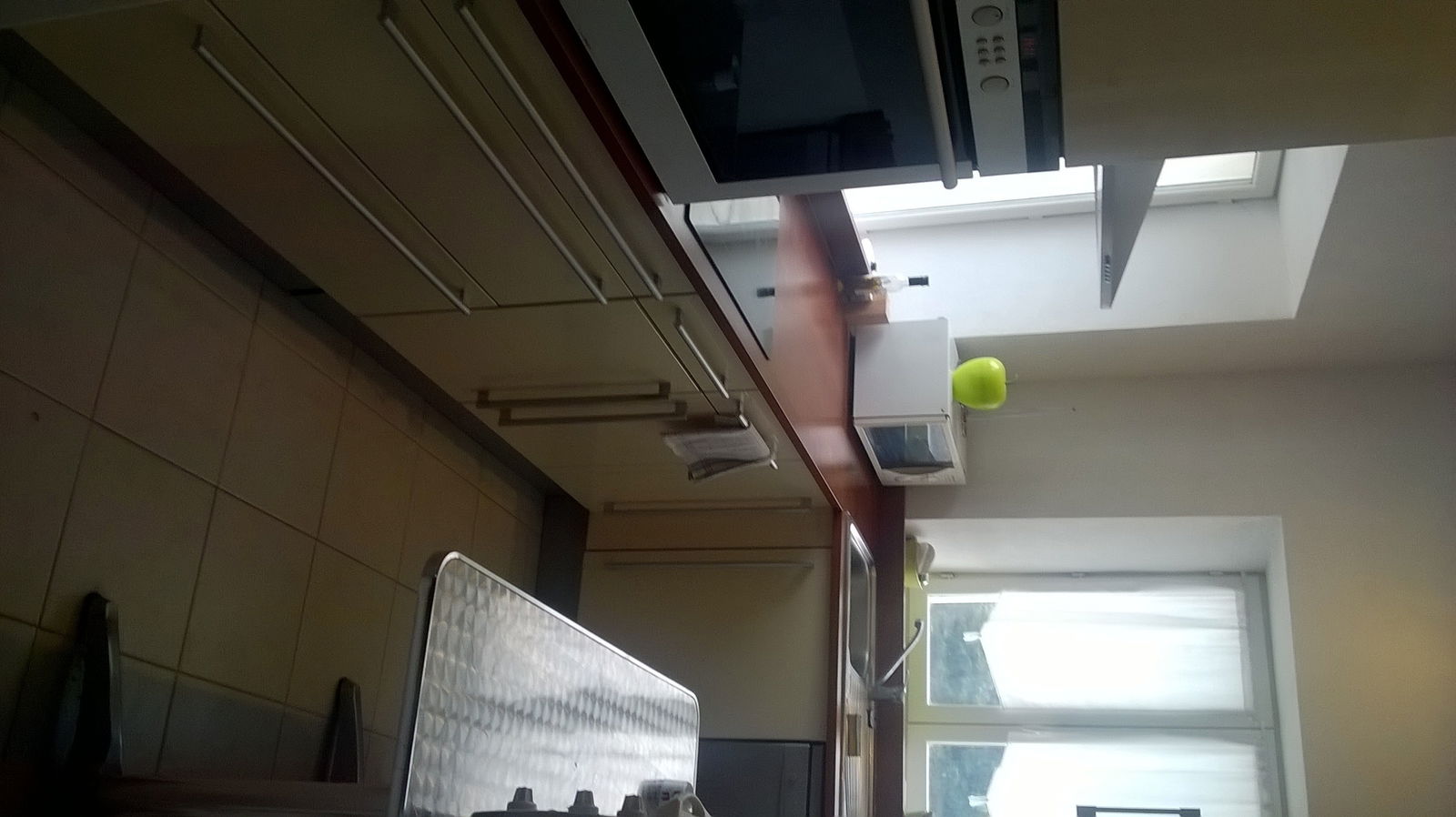 Kolokasie Lumigny-Nesles-Ormeaux 145521