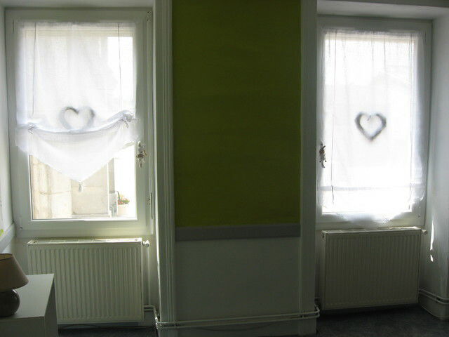 Kolokasie Saint-Maurice-de-Rémens 50531