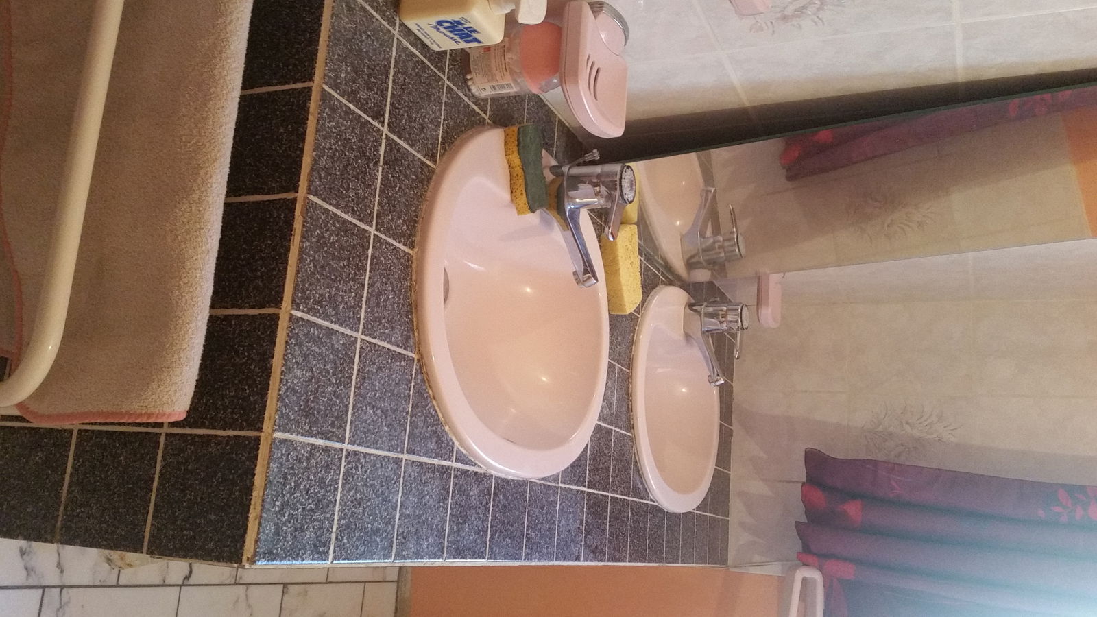 Kolokasie Les Essarts-le-Roi 185966