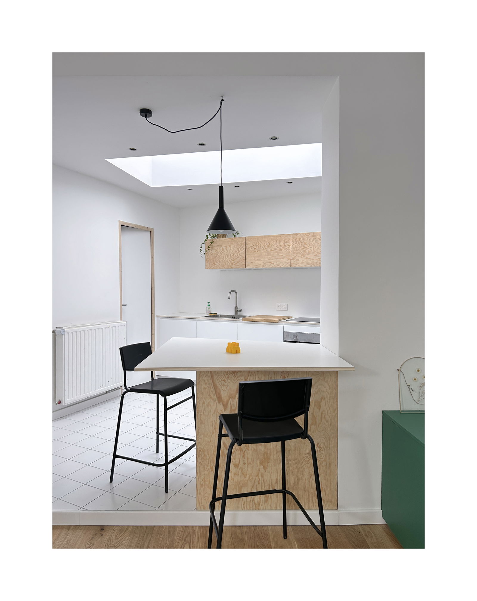 Kolokasie Roubaix 407246