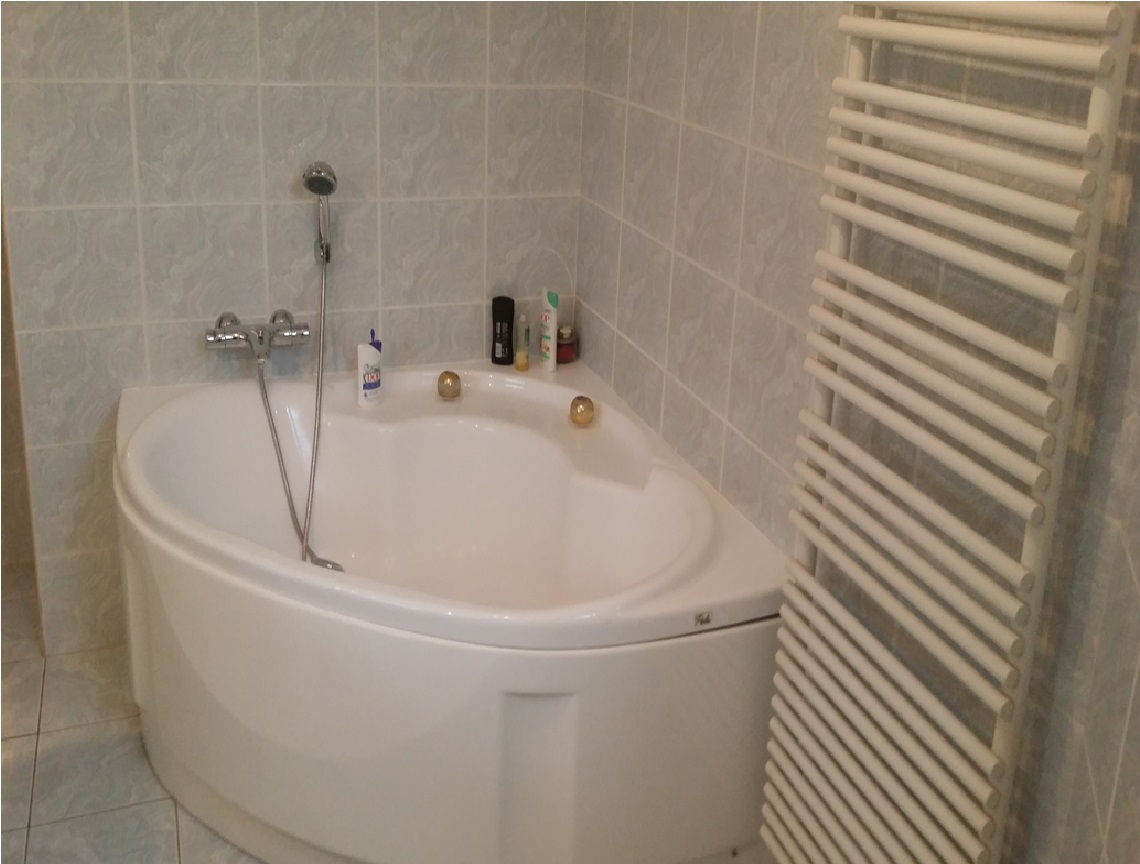 Kolokasie Montpellier 121572