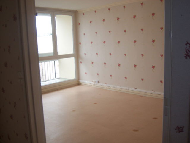 Kolokasie Les Ulis 25311