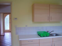 Kolokasie Berchem-Sainte-Agathe 63843