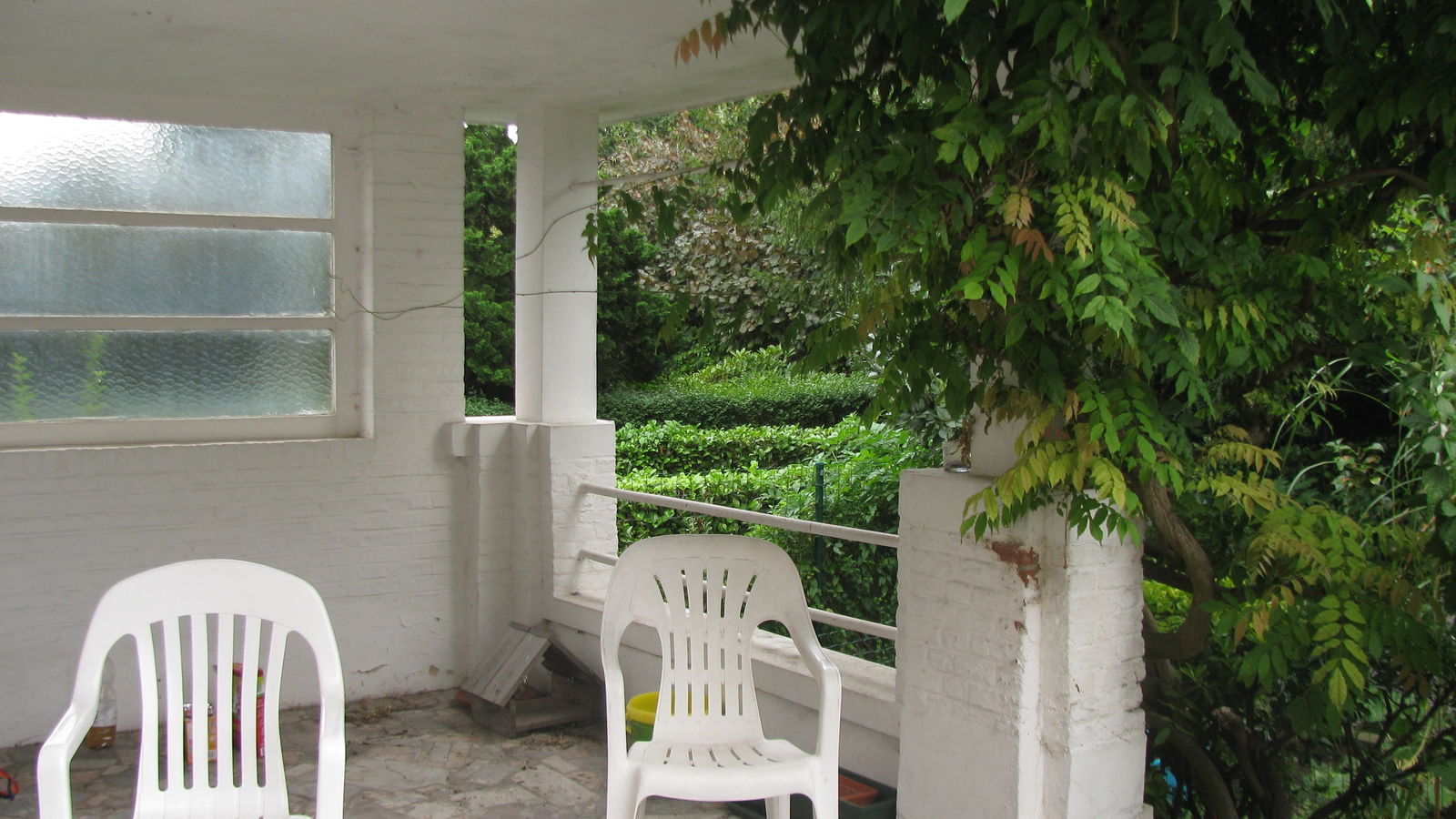 Kolokasie Berchem-Sainte-Agathe 63843