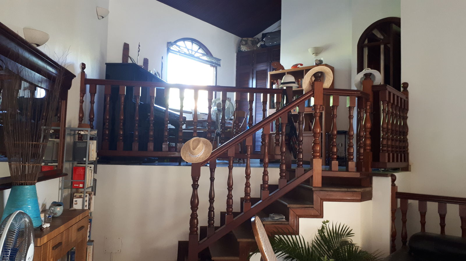 Kolokasie Le François 252110