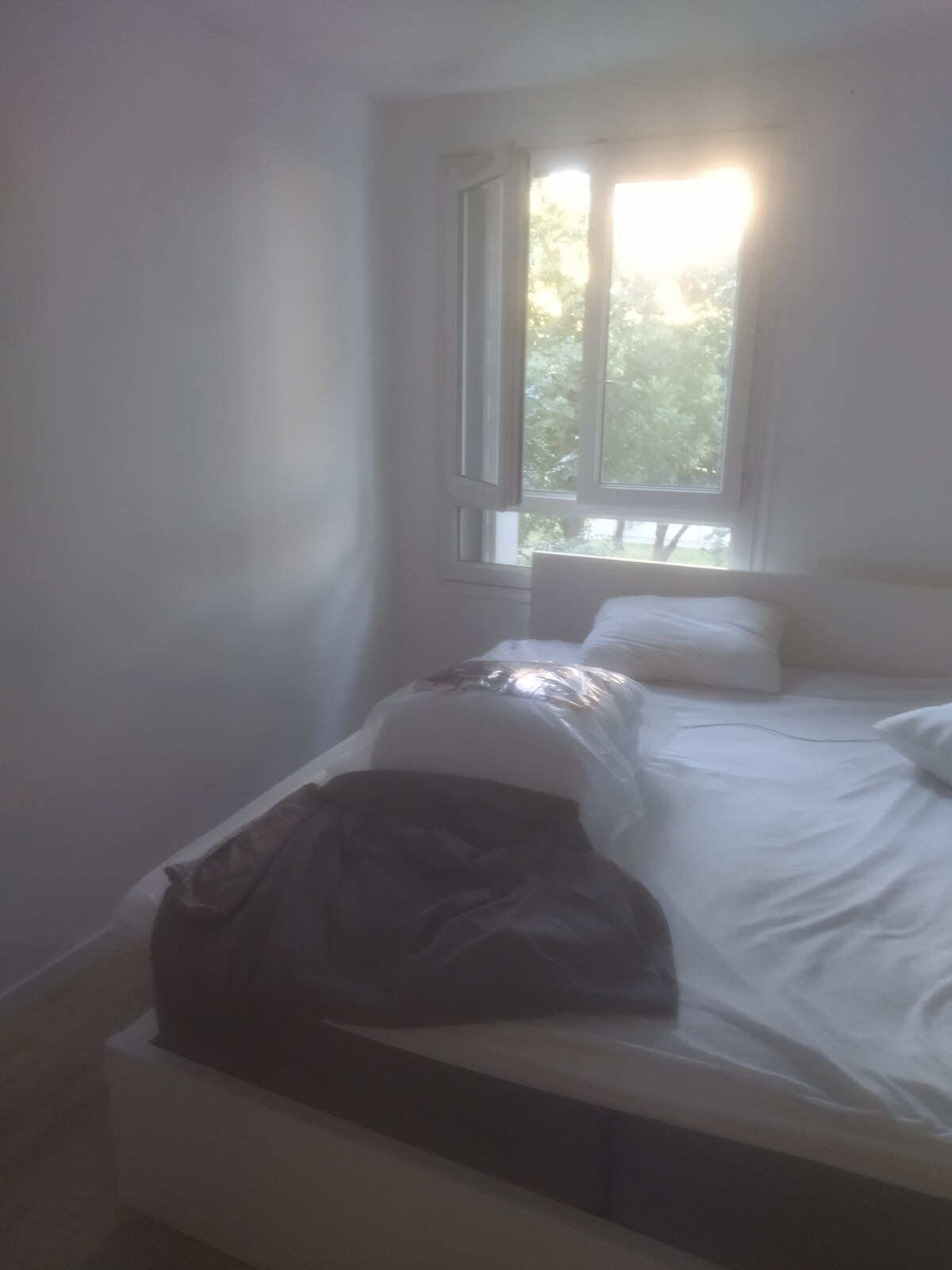 Colocatie Toulouse 663882