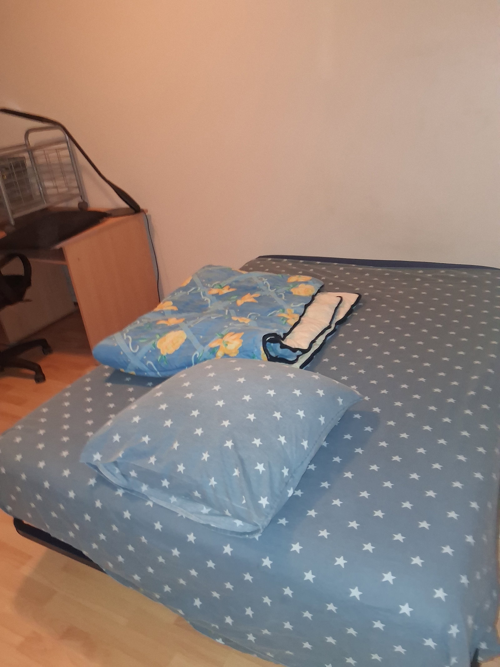 Gedeelde Woning Pau 668671