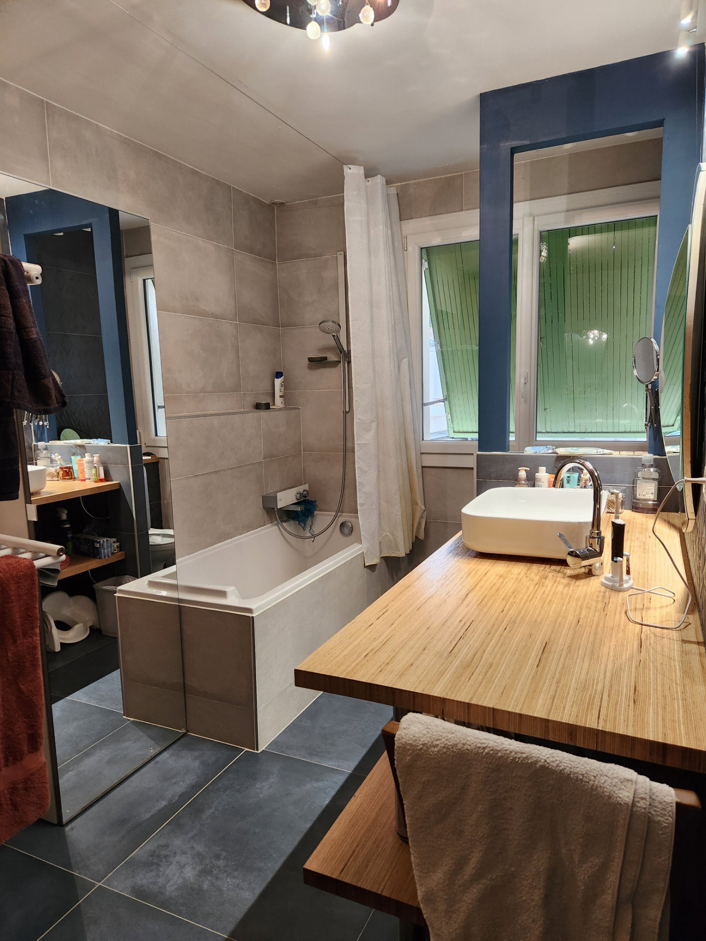 Colocatie Toulouse 664487