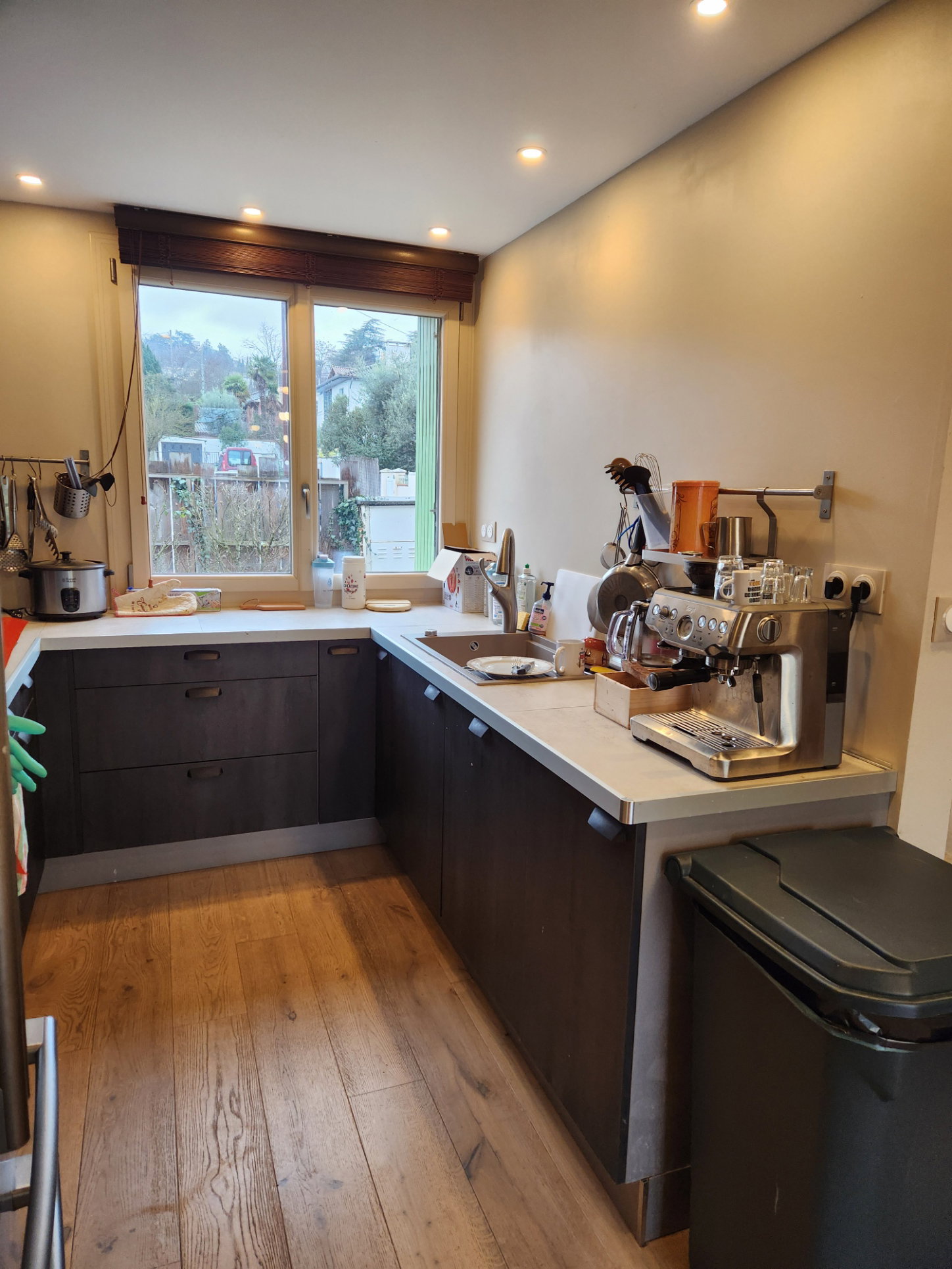 Kolokasie Toulouse 664487