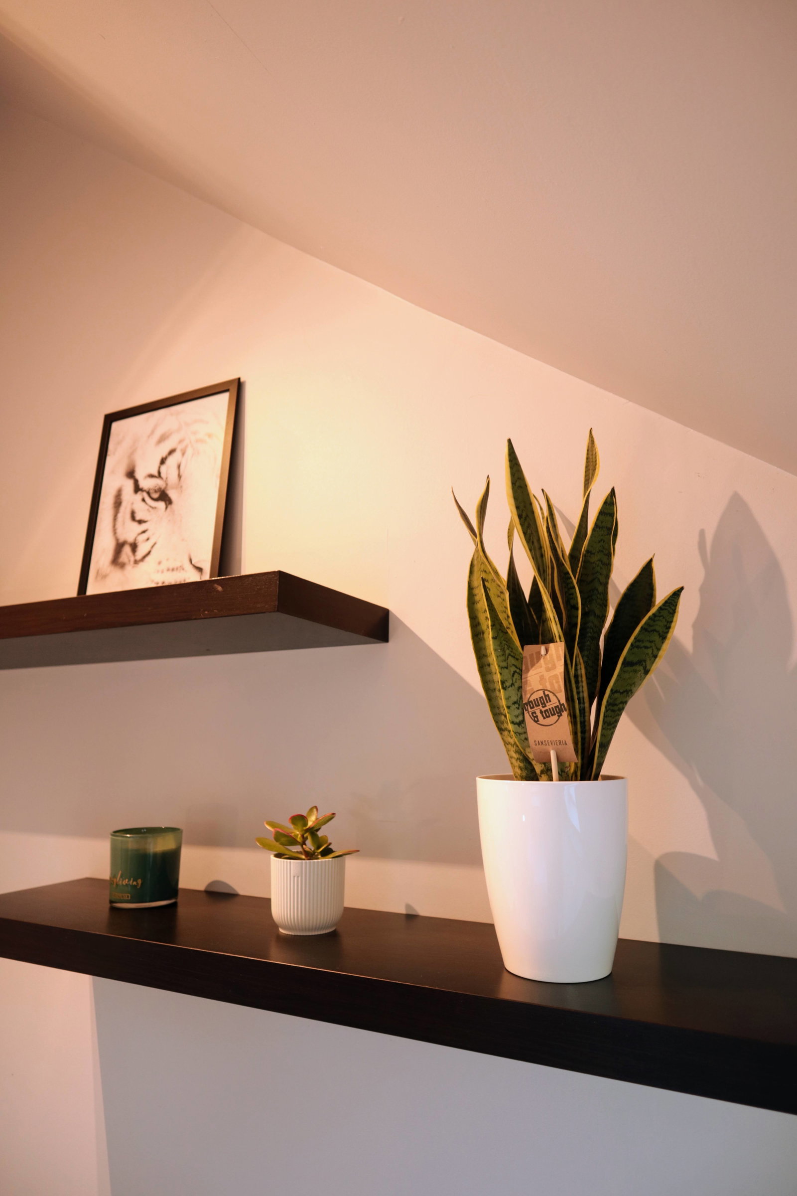 Gedeelde Woning Lille 540038