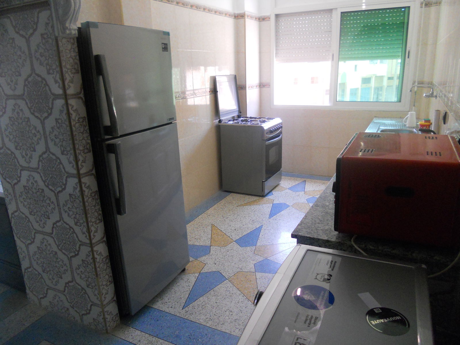 Kolokasie Casablanca 108344