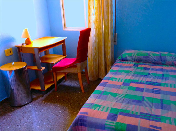 Kolokasie Valencia 96294