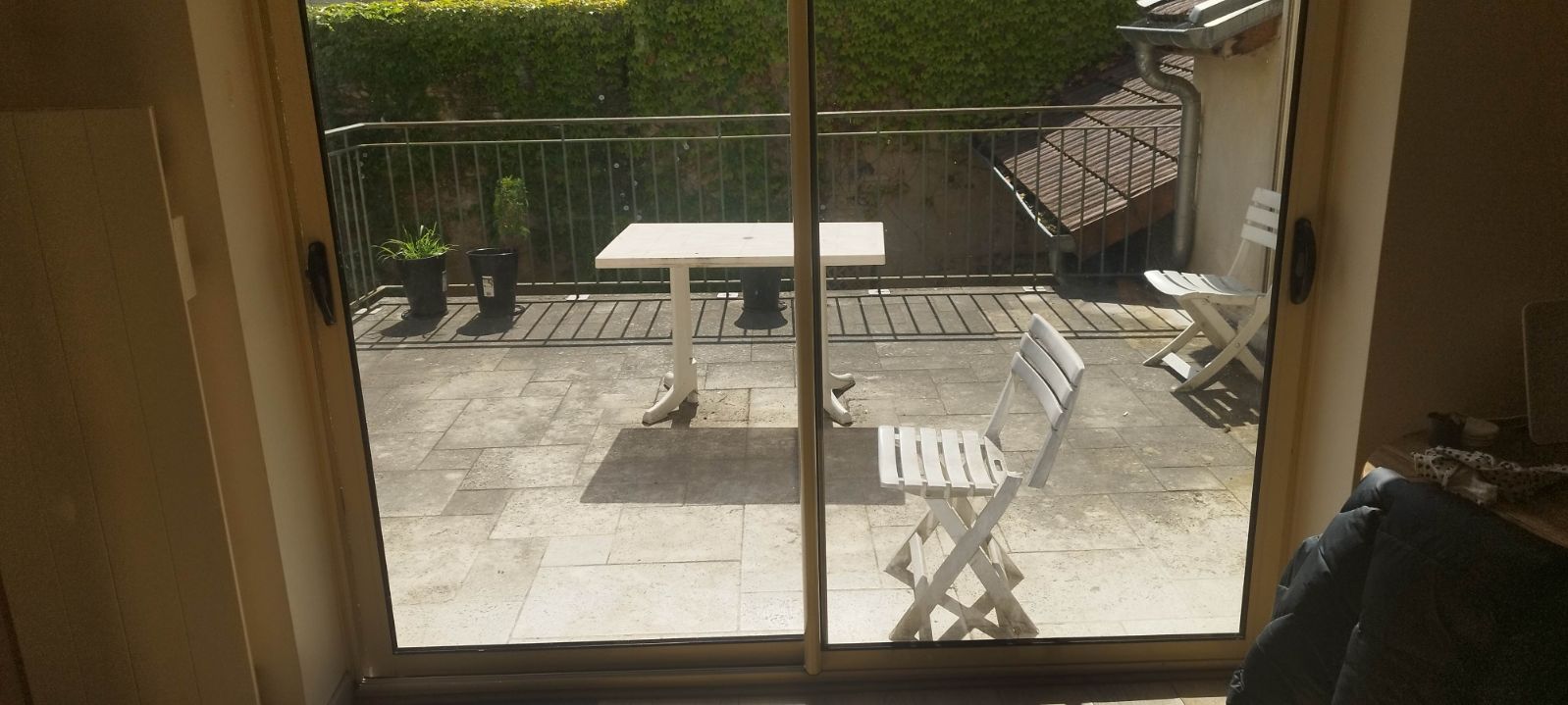 Kolokasie Bourg-en-Bresse 456894