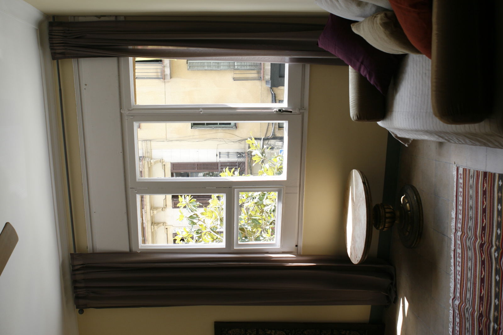 Kolokasie Barcelona 138990