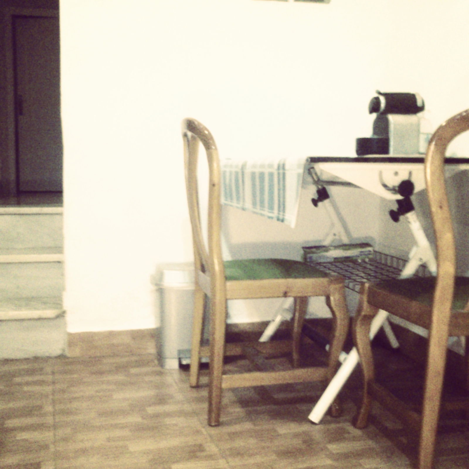 Kolokasie Cádiz 120638