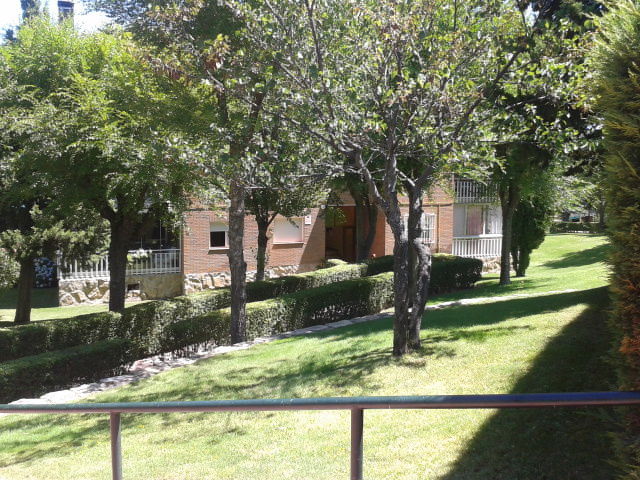 Kolokasie Guadarrama 134721