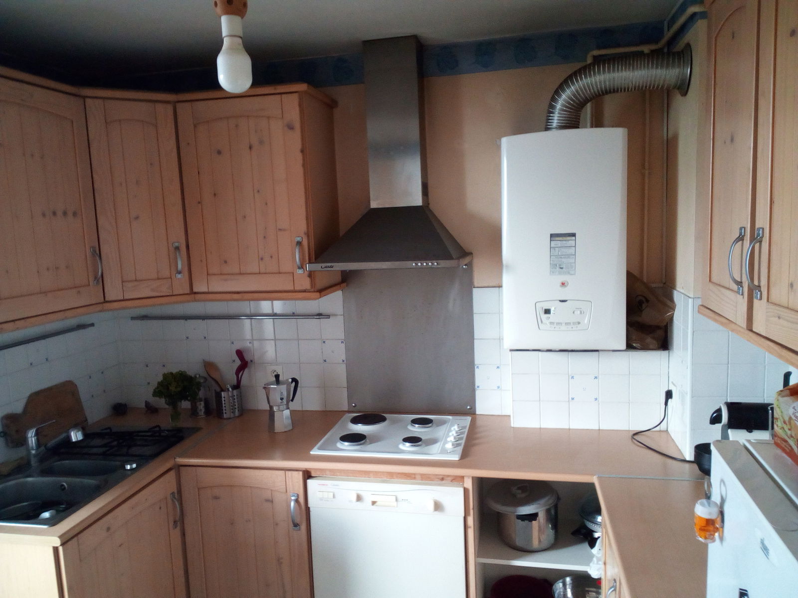 Kolokasie Saint-Martin-d'Hères 188415