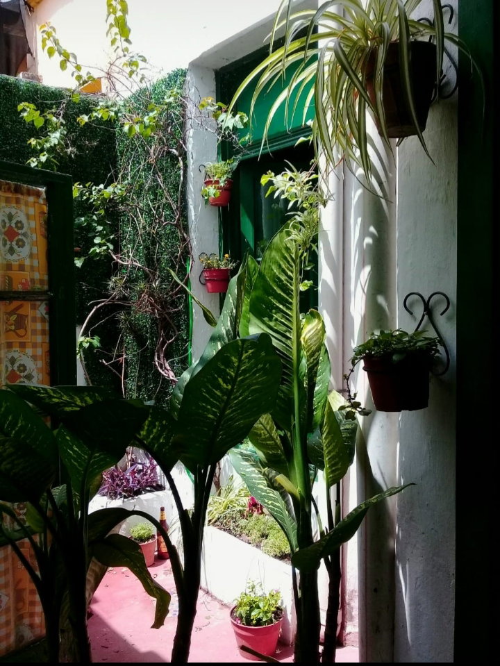 Tuisverblyf Comuna 5 256493