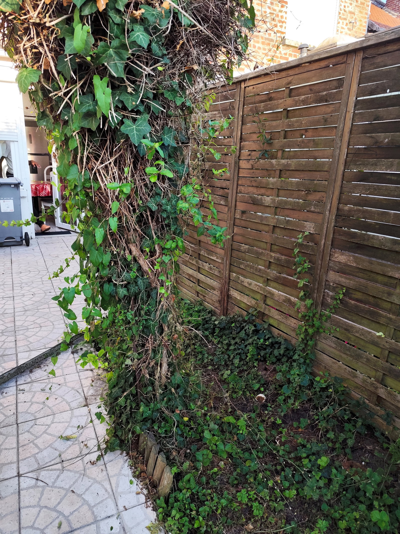 Homestay Lille 589130