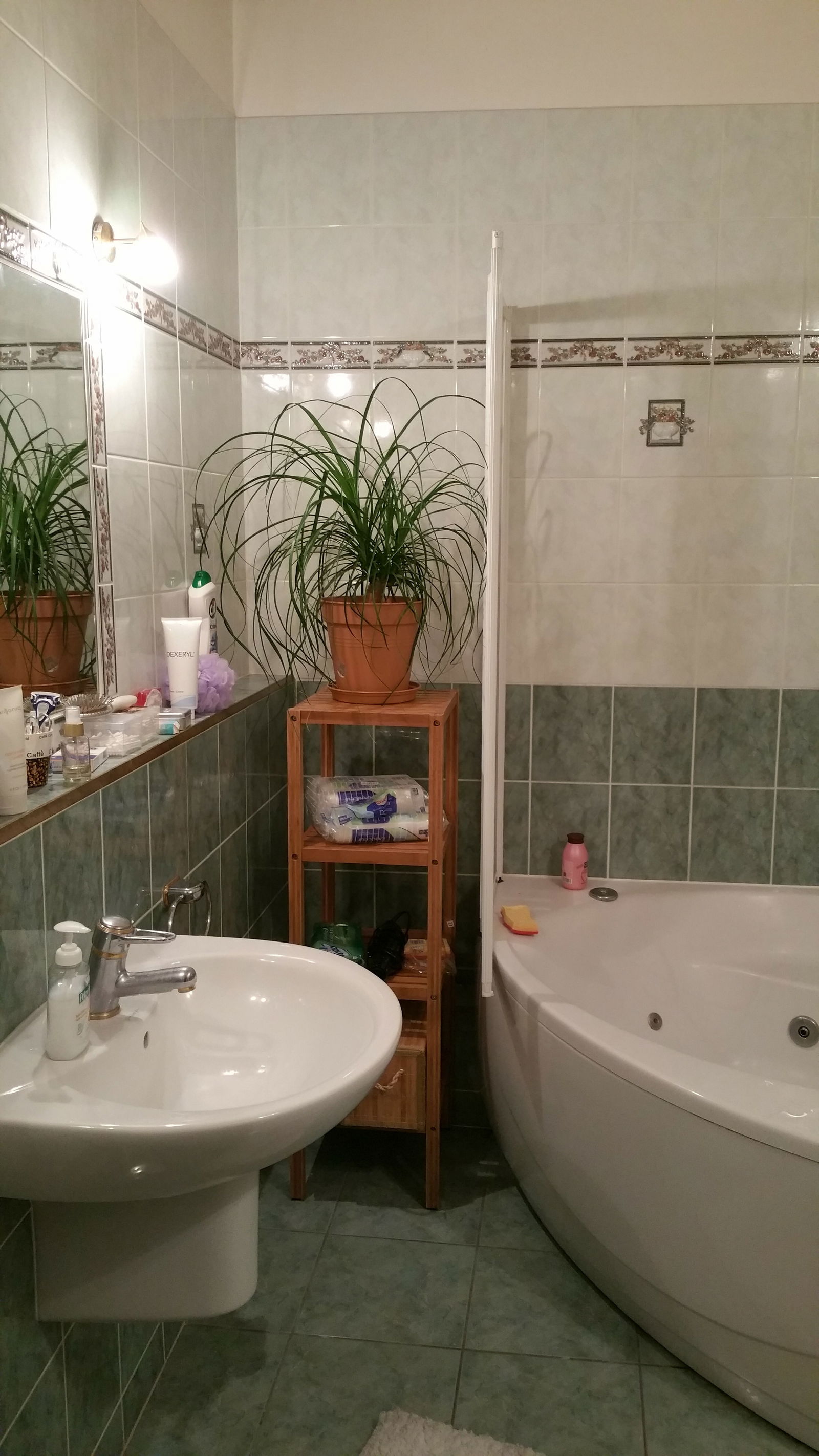 Colocatie Puplinge 109114