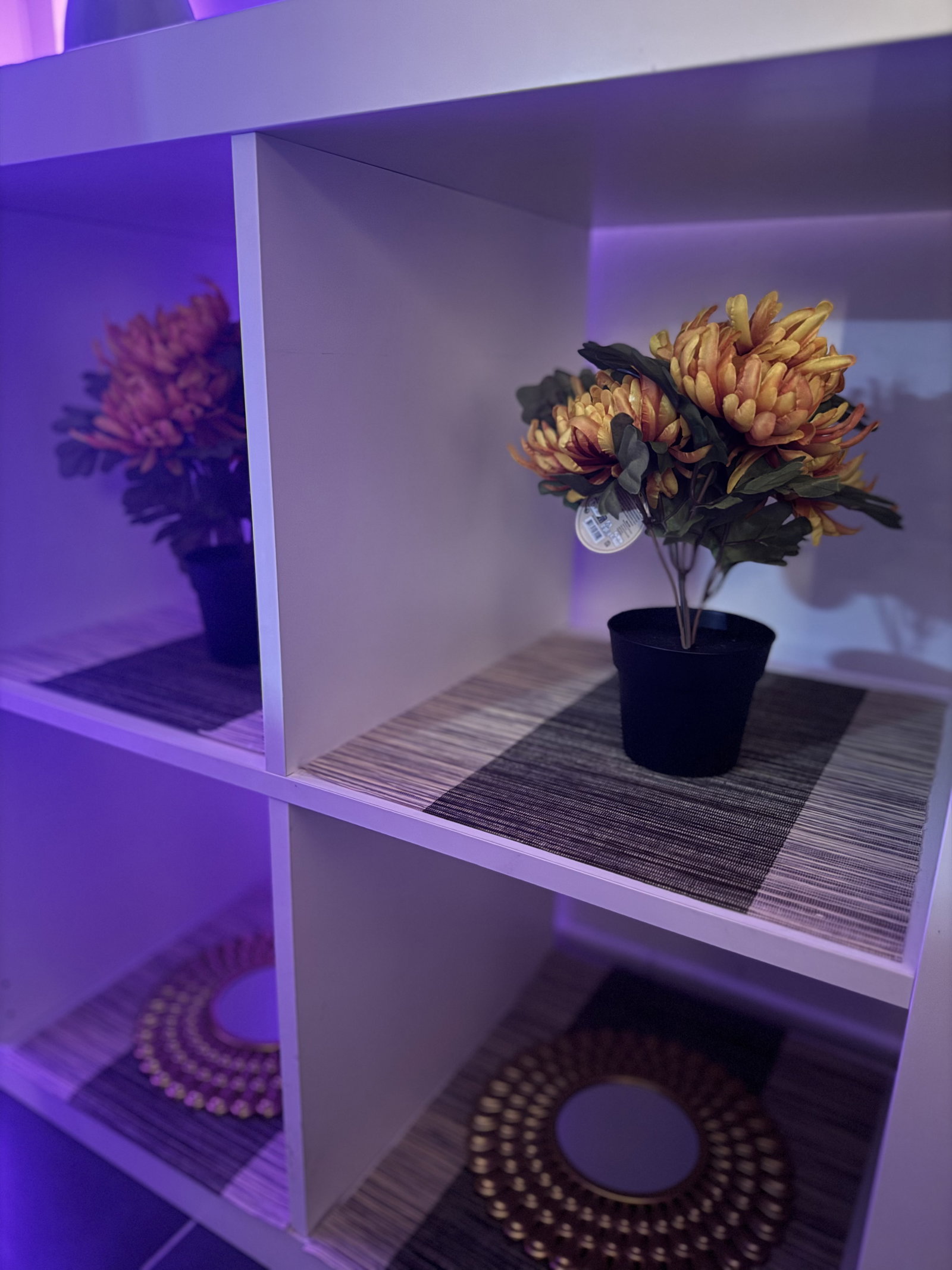 Hele Huis Mulhouse 609404