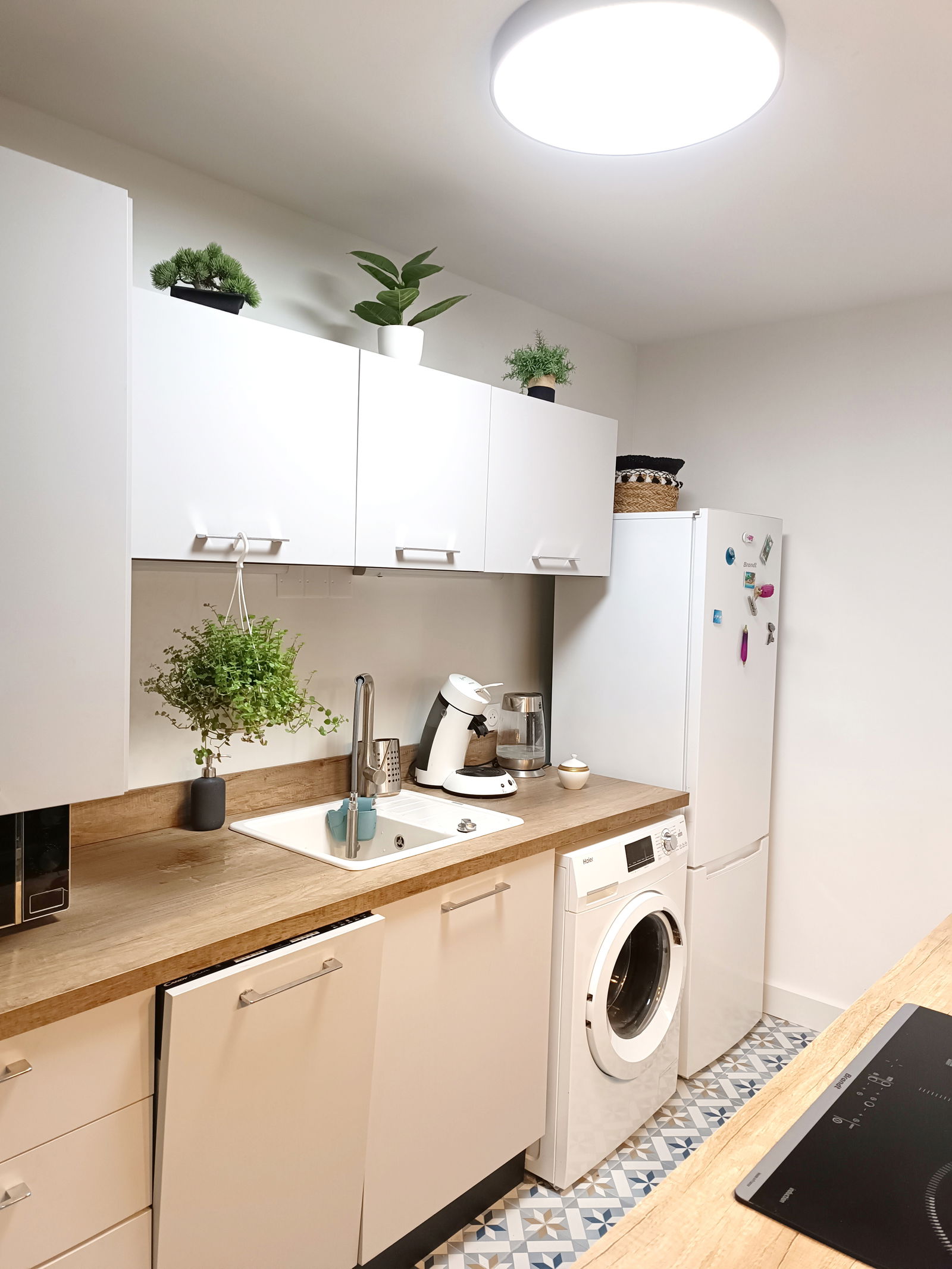 Colocation Lattes 478498