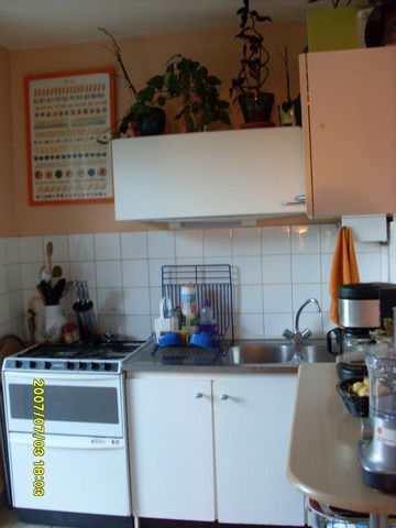 Colocation Sceaux 14336