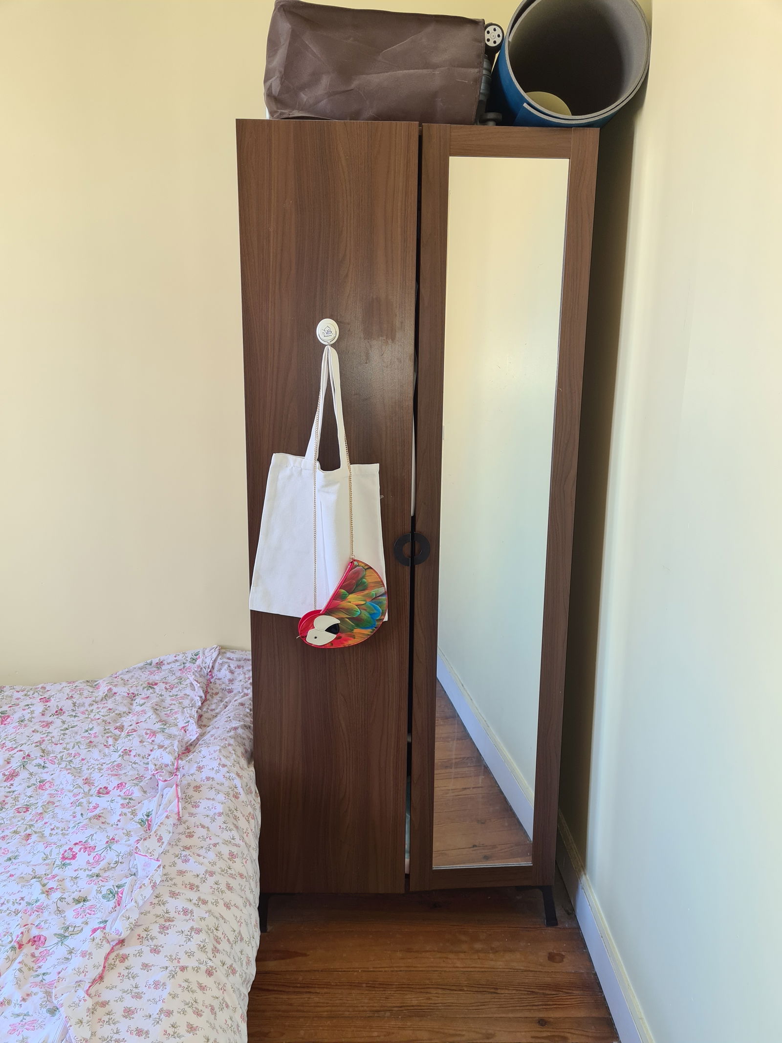 Colocation Bordeaux 248485