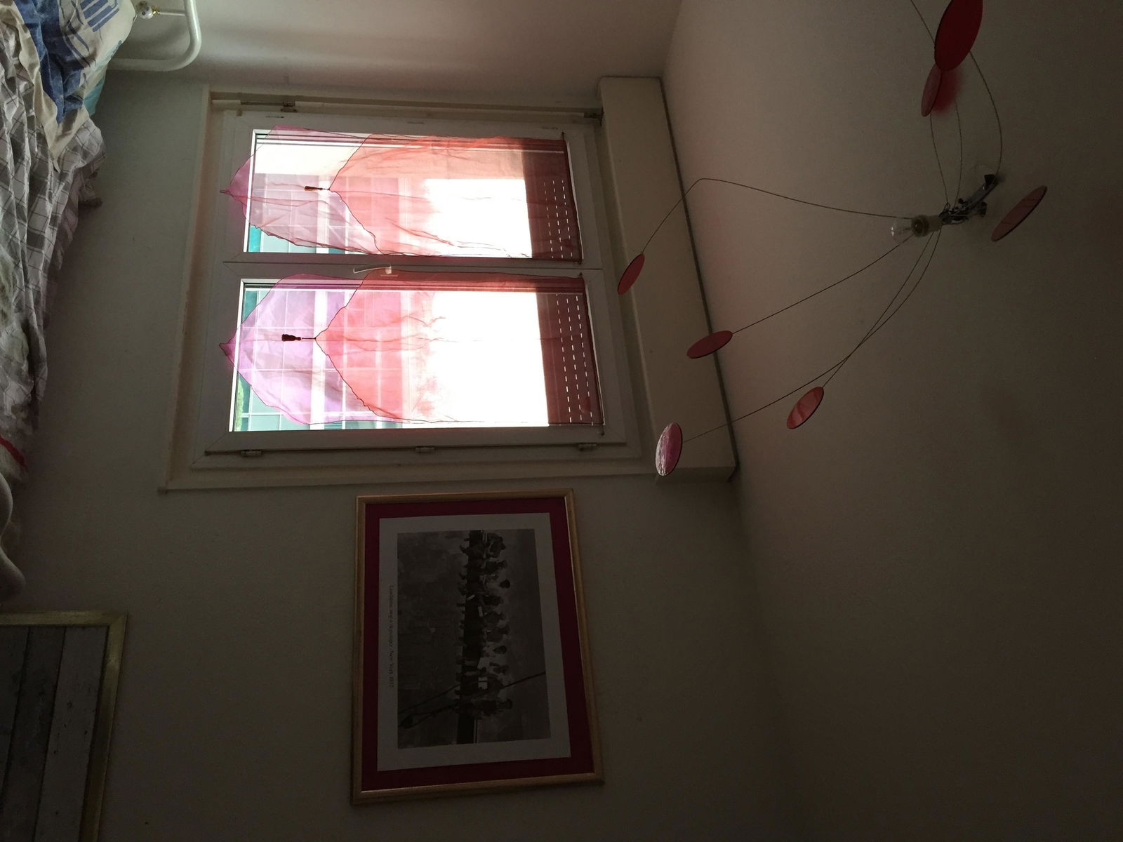 Colocation Onex 252212