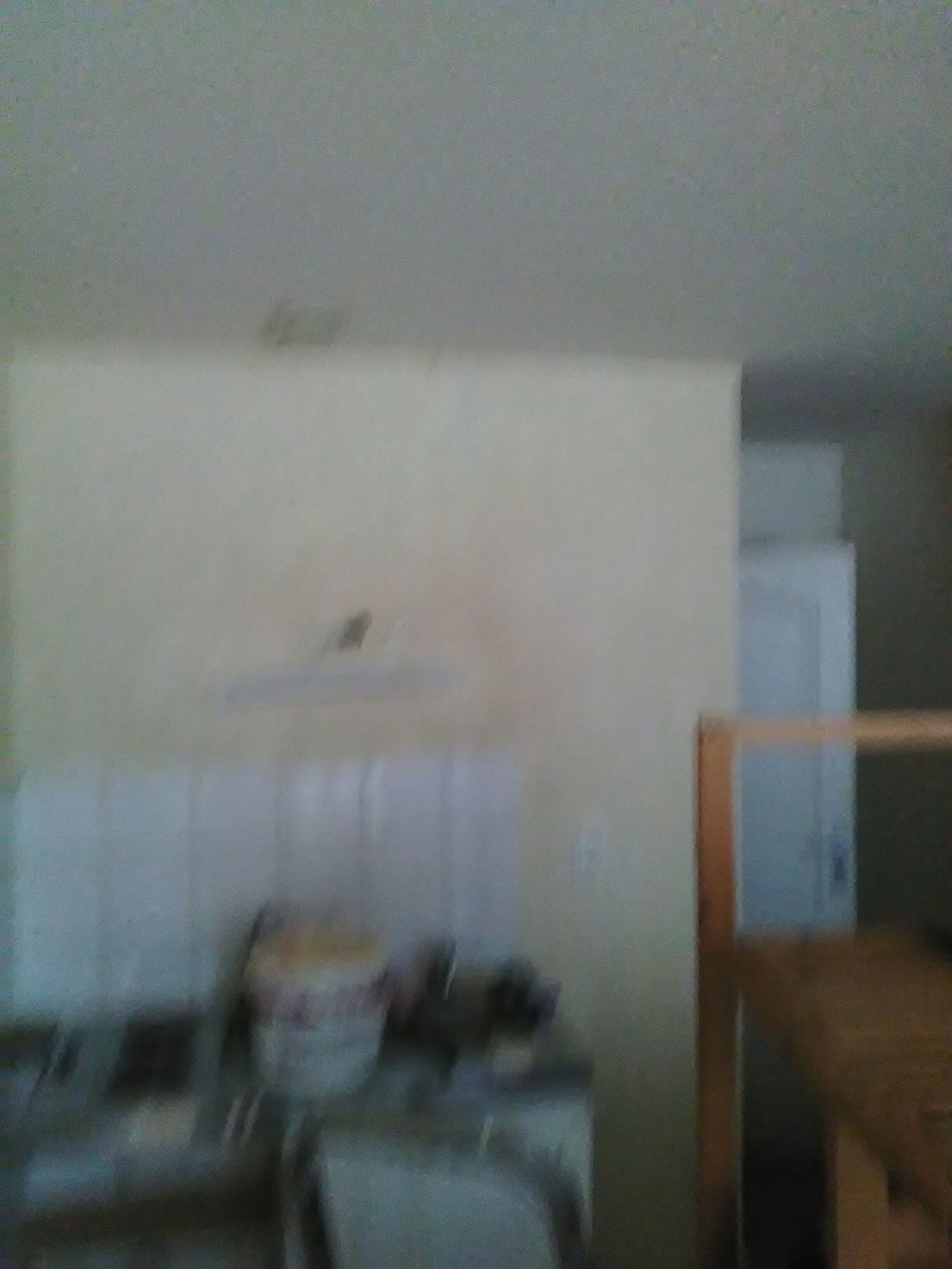 Colocation Vichy 253035