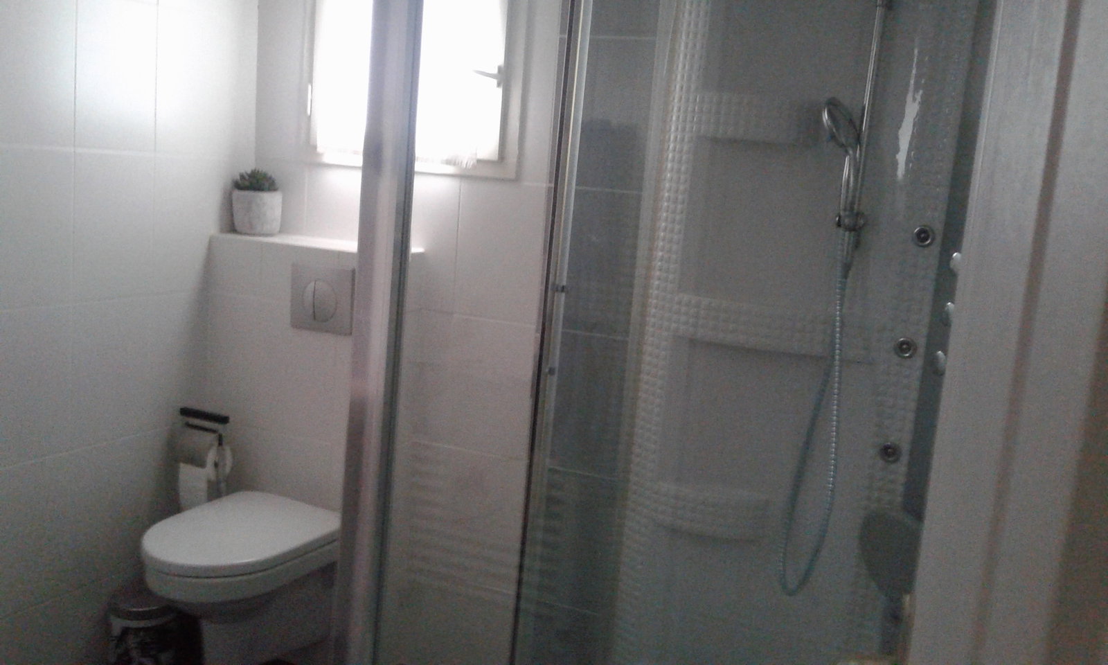 Colocation Blagnac 248875